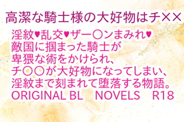 高潔な騎士様の大好物はチ×× [彩愛]