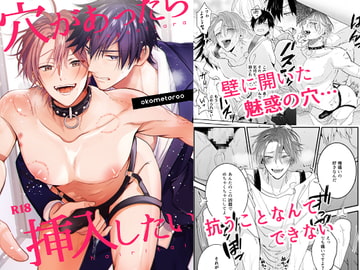 穴があったら挿入したい [米式']