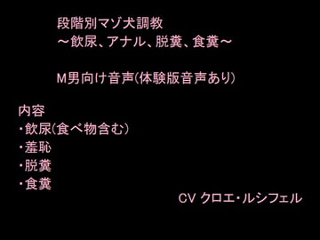 段階別マゾ犬調教～飲尿、アナル、脱糞、食糞～ [Nekomaru Mohuya]
