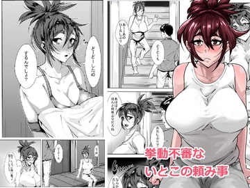 挙動不審ないとこの頼み事 [AKYS本舗]