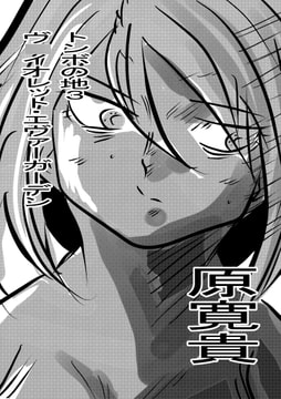 トンボの地3 ヴ○イオレット・エヴァーガーデン [トゥーガンインパクト]