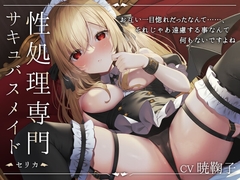 性処理専門サキュバスメイド -セリカ- [金平糖の夢]