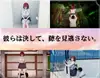 僕と彼女と線香花火 サムネイル4
