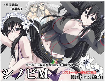 シノビM雪不帰(伝説忍装束+81の日爆乳祭)+月閃姉妹(乳籍祭) [Black and White]