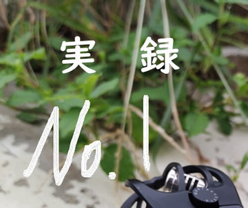 実録 雷雨 [魍魎工造]