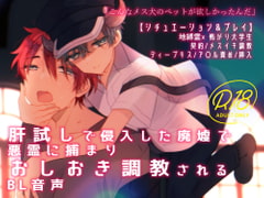 【17分】肝試しで侵入した廃墟で悪霊に捕まりおしおき調教されるBL音声 [udukidou]