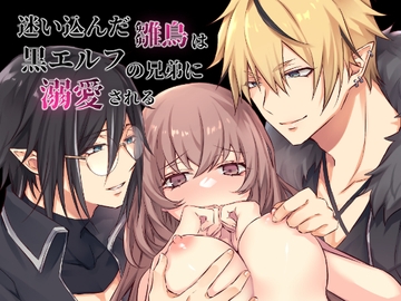 迷い込んだ雛鳥は黒エルフの兄弟に溺愛される [NULLNULL]