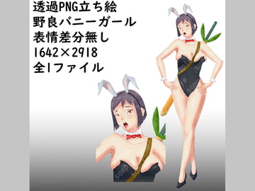 透過PNG立ち絵_野良バニーガール_表情差分無し [錦堂商店]