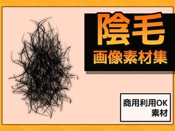 女性の陰毛 画像素材～商用OK著作権フリー [商用利用OK素材]