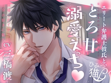 エリート弁護士彼氏と、とろ甘溺愛えっち [ひみつ猫β]