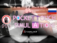 
        Pocket Touch Simulation![Русская версия]
      