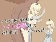 とある国のお姫様がトイレ盗撮されて脅迫中出しレ○プされる話