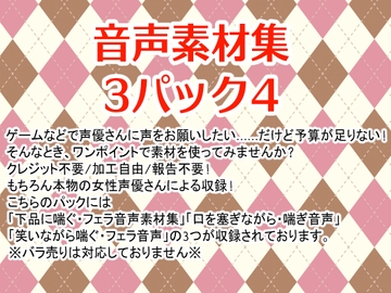 音声素材集3パック4 [Junky-Soft]