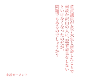 童貞議員が女子大生と密会したことで何故か沢山の人に、記者会見をしないといけなくなったのだが。問題でもあるのでしょうか? [小説モーメント]