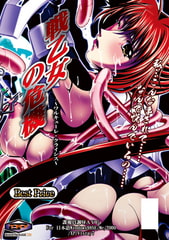 戦乙女の危機～ワルキューレ・クライシス～ BestPrice版 [BLACK PACKAGE TRY]