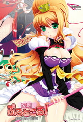 妄想ぷろとこる！ -姫×巫女×ロボ- [Triangle]