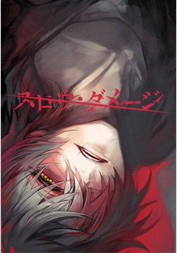 スロウ・ダメージ 普及版 [NITRO CHiRAL]