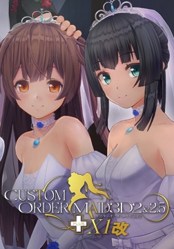 カスタムオーダーメイド3D2＆2.5+ X1改 [Kiss]