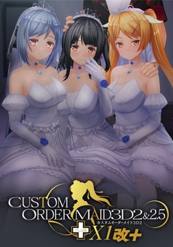 カスタムオーダーメイド3D2＆2.5+ X1改+ [Kiss]