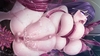 【DLsite限定版】『三毒繚乱』シリーズ豪華パック [TinkerBell] image sample 1