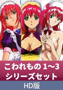 【HD版】こわれもの 1～3 シリーズセット [ソフト・オン・デマンド]