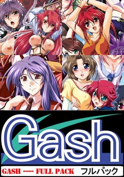 Gashフルパック [Gash]