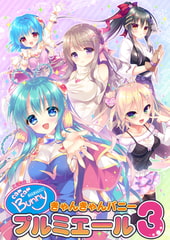 きゃんきゃんバニープルミエール3 [F&C]