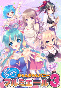 きゃんきゃんバニープルミエール3 [F&C]