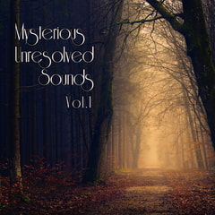 Mysterious Unresolved Sounds Vol.1 [bitter sweet entertainment]
