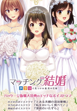 マッチング結婚 ～アプリで見つける最高の花嫁～ ドラマDLC [インターハート / Candy Soft / ぐみそふと / はちみつそふと / REAL / DarknessPot / 娘。 / しばそふと / DESSERT Soft / カカオ / ういろうそふと / ましゅまろそふと]