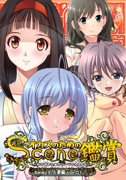 おかずのためのシーン鑑賞 人妻編 vol.1 [Mink]