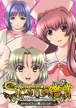 おかずのためのシーン鑑賞 ナース編 Vol.2 [Mink]