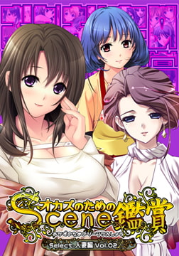 おかずのためのシーン鑑賞 人妻編 vol.2 [Mink]