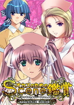おかずのためのシーン鑑賞 ナース編 Vol.3 [Mink]