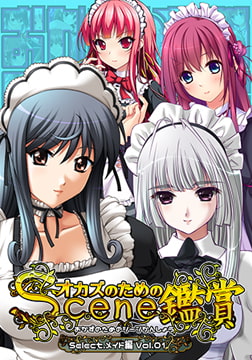 おかずのためのシーン鑑賞 メイド編 vol.1 [Mink]