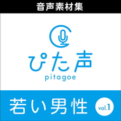 Pitagoe Young Man, Vol.1 [AH-Software]
