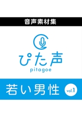 ぴた声 若い男性 vol.1 [AH-Software]